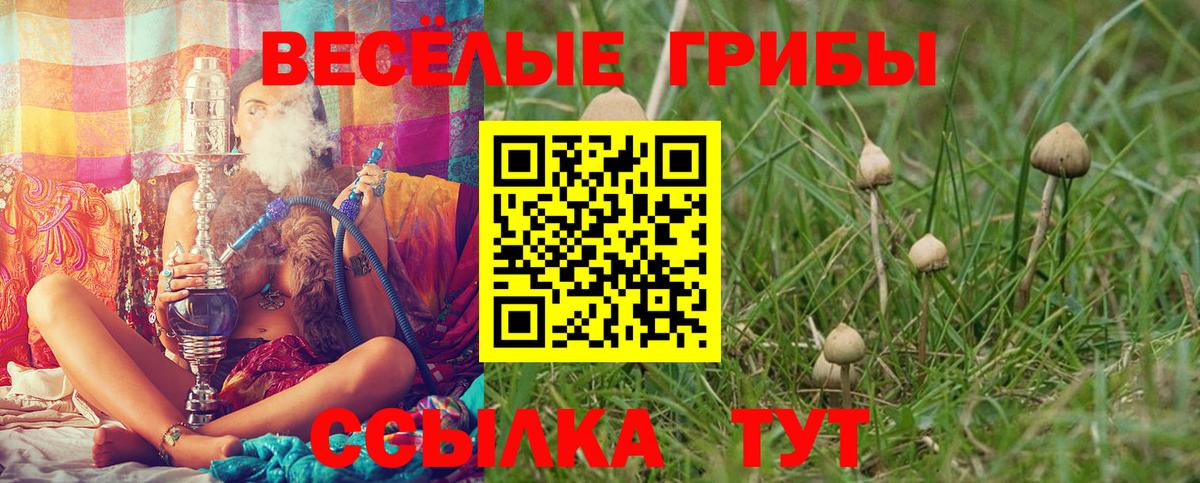 Галлюциногенные грибы Psilocybine cubensis  Вход с VPN  Беслан  Псилоцибиновые грибы Magic Shrooms 