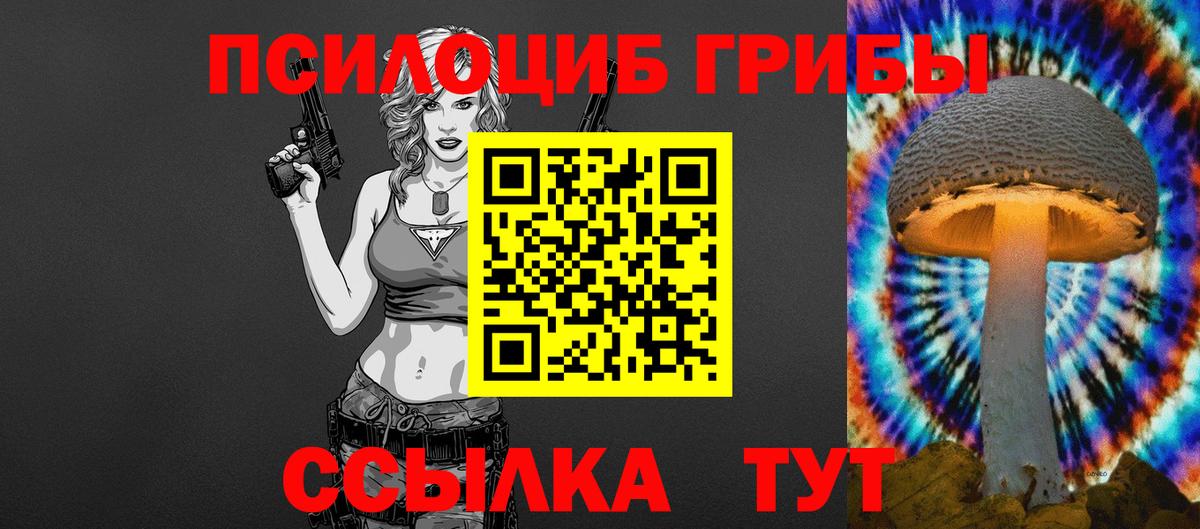 Псилоцибиновые грибы мицелий Беслан